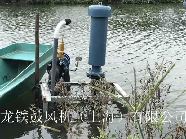 龍鐵沉水式鼓風(fēng)機(jī)多少錢？.jpg